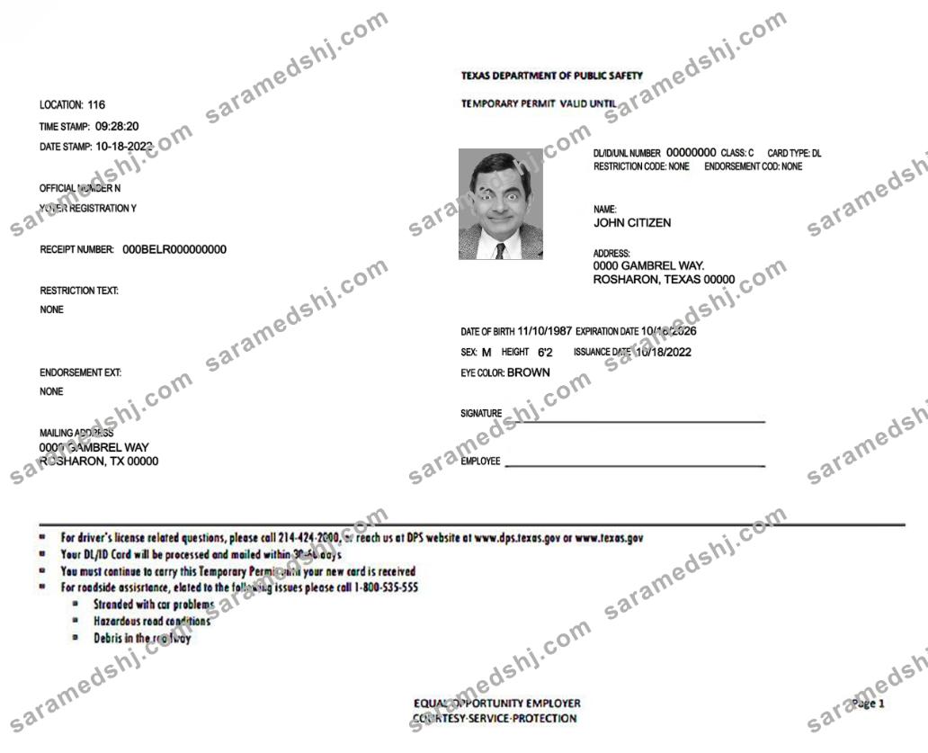 USA Texas temporary permit